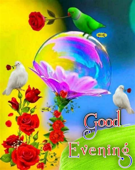 Evening Pictures Good Evening Greetings Good Morning Flowers Gif Good Afternoon Happy Sunday