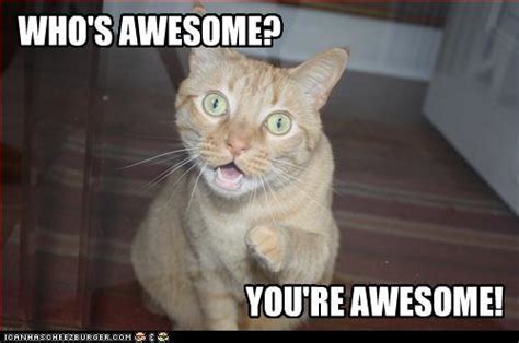 Image 64389 Whos Awesome Youre Awesome Sos