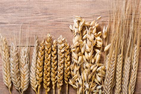 Oats and rye available are available naturally and in roasted variants that are quicker to cook. Bourbon Fundamentals: Breaking Down Bourbon Styles and ...