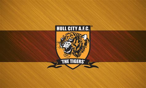 Hull City Afc 201415 Hull City Afc Squad Genius