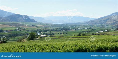 Beautiful Panoramic View Of The Golden Mile Bench In Oliver British