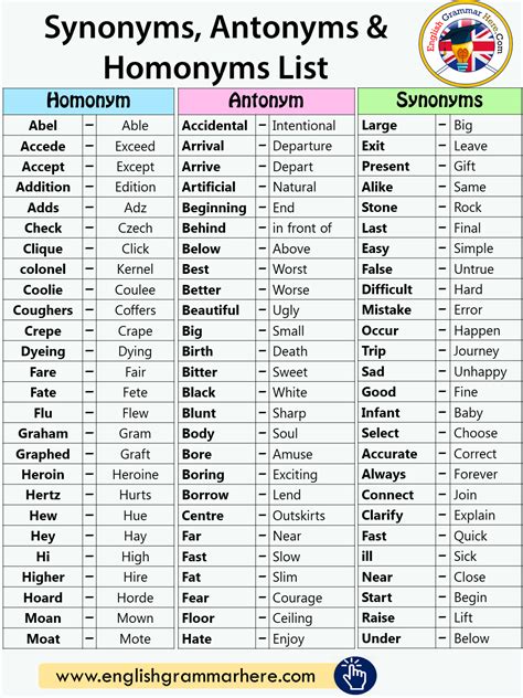 Synonyms Antonyms And Homonyms Words List In English English Grammar
