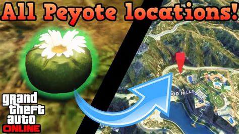 There are 50 letter scraps scattered around the map, which together form a confession written by the murderer of actress leonora if you want to reach the coveted 100% completion stat in grand theft auto 5 you're going to have to put in a lot of work. GTA 5 Peyote Locations: Where Are The Peyote Plant ...