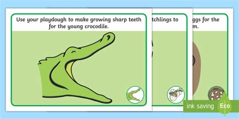 Crocodile Life Cycle Playdough Mats Teacher Made