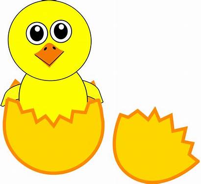 Egg Chick Clipart Cartoon Funny Newborn Coming
