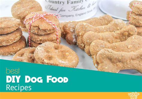 Delicious Homemade Diy Dog Food Recipes And Treats