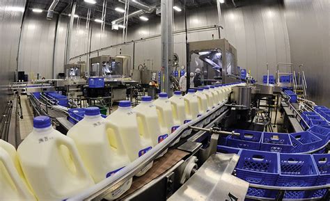 Dairy Factories