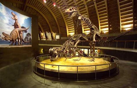 Jurassic Museum Of Asturias In Colunga 26 Reviews And 137 Photos