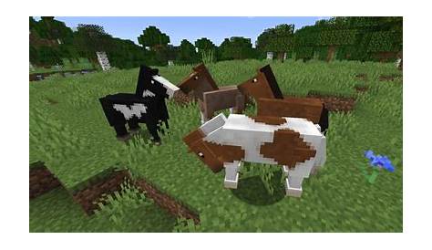 what can you feed horses in minecraft