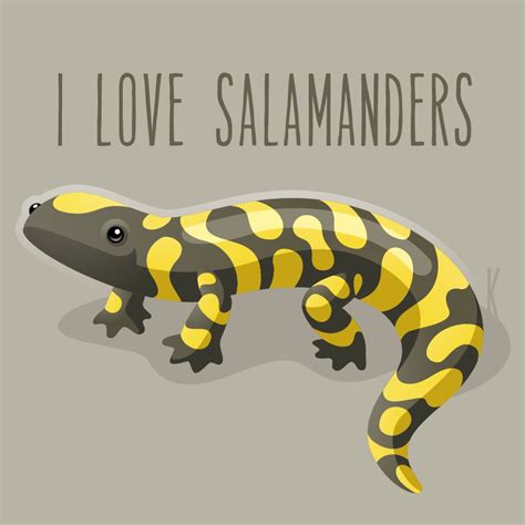 I Love Salamanders By Karianne Hutchinson Illustration Vector