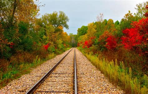 1920x1080px 1080p Free Download Railroad Track In Autumn Track