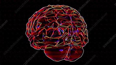 Rotating Brain Animation Stock Video Clip K0087631 Science Photo