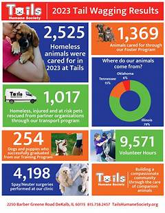 Tails Of Resilience How Sioux Falls Humane Society Empowers Animals In Need