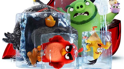Angry Birds Angry Birds Movie Garry HD Wallpaper Pxfuel