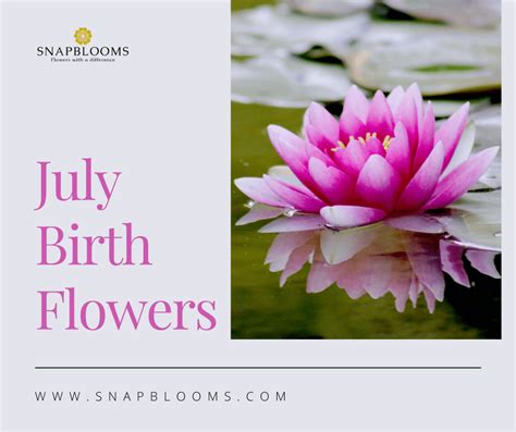 July Birth Flower And Their Meanings Snapblooms Blogs