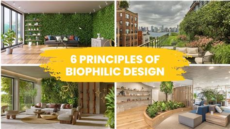 6 Principles Of Biophilic Design 🌳🌱 Youtube