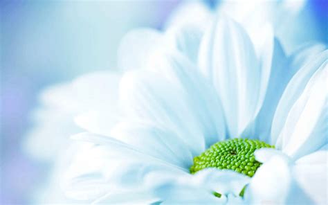 20+ Pastel Backgrounds - PSD, JPG, PNG Format Download | Design Trends