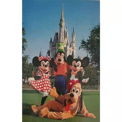 Mickey Mouse Minnie Goofy Pluto Cinderella Castle Disney Magic Kingdom