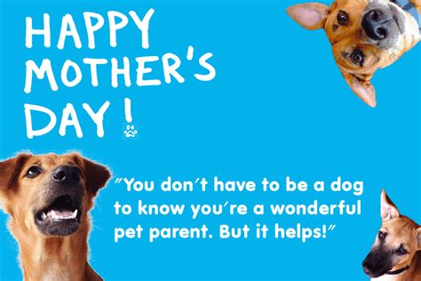 Happy Mothers Day To All You Fabulous Dog Mums