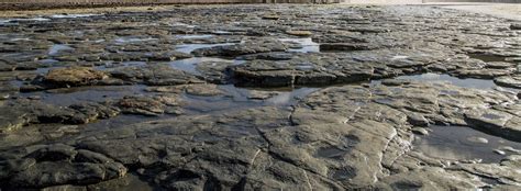 Rocks Background Free Stock Photo Public Domain Pictures