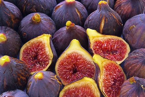 The fig tree is an amazing fruit tree with very unique leaves. 10 Incredible Health Benefits of Figs
