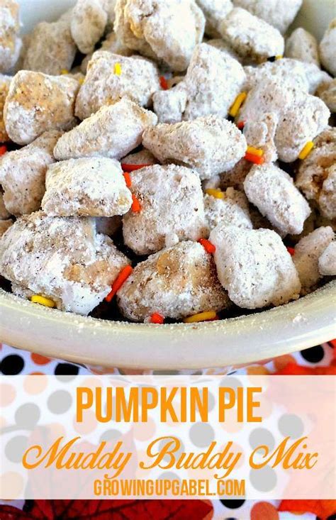 It just makes the job a whole lot easier when you are mixing up all that cereal. Mix it up this fall with a pumpkin flavored Chex puppy ...