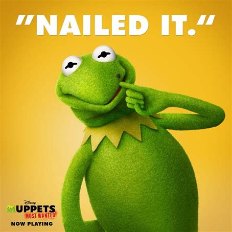 704 Best Kermit The Muppet Frog Images On Pinterest Funny Memes