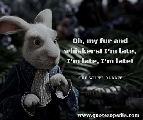 Below are what i believe to be the most often quoted sections of the velveteen rabbit, along with some interpretations from either those i interviewed or myself. 95 Best Alice in Wonderland Quotes with Images 2020
