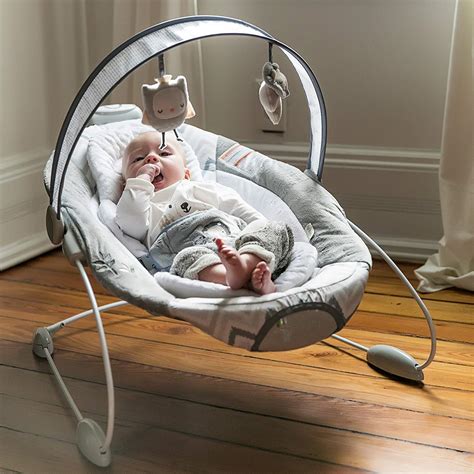 Top 10 Best Baby Bouncers In 2023 Reviews Buyers Guide