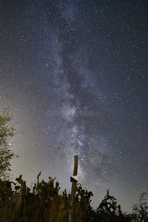 Vertical Shot Of Starry Night Sky Over A Field Stock Image Image Of
