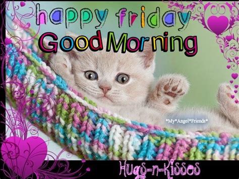 Cute Happy Friday Good Morning Quote With Cat Pictures Photos And