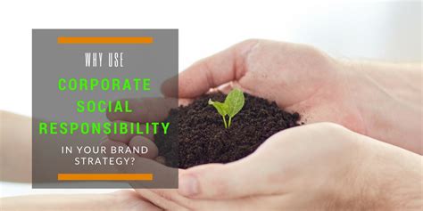 Corporate Social Responsibility Essay Paper