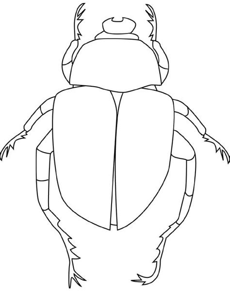 Commonwealth games coloring pages & posters culture and tradition coloring pages Printable Beetle Coloring Pages | Bugs drawing, Insects ...