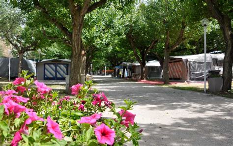 Top room amenities include a. Camping Senigallia - Campeggio Spiaggia di Velluto ...