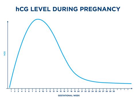 Hcg Levels All You Need To Know Clearblue