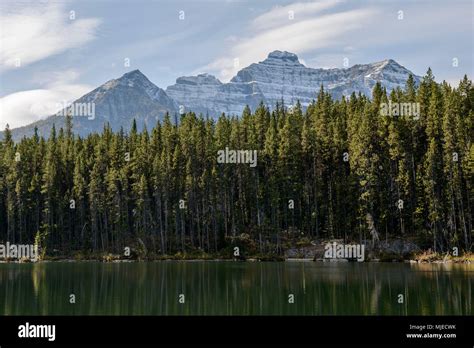 Banff National Park Herbert Lake Forest Rocky Mountains Stock Photo