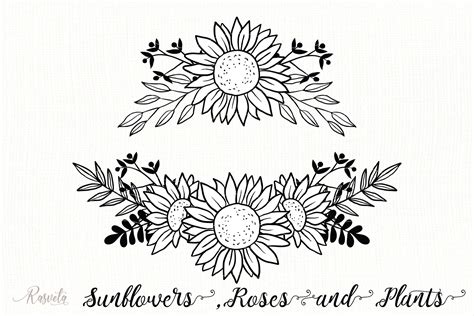 Sunflower Monogram Frames 2 Graphic By Rasveta · Creative Fabrica