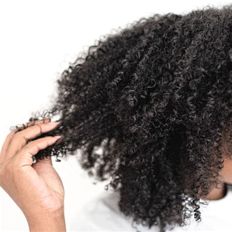 Hair Porosity Explained Curlsfusion