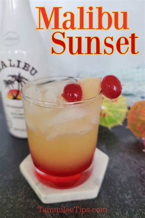 Simple Malibu Rum Drink Recipes For Cocktail Lovers Lovetoknow Artofit