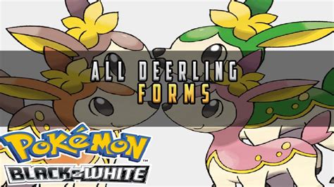 Pokemon Black And White All Deerling Forms In Every Seasons Youtube