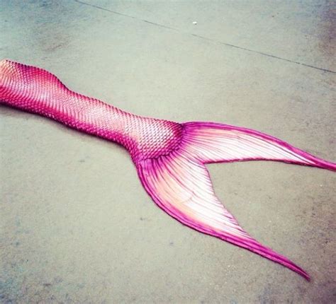 Love The Pink Mermaid Tails Silicone Mermaid Tails Pink Mermaid Tail