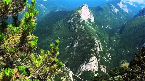 The national park sutjeska is the oldest national park in bih covering 16,052 ha. Nacionalni park Sutjeska - informacije i zanimljivosti ...