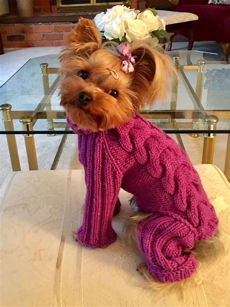 Knitted Dog Jumpsuit Small Dogs Warm Winter Clothes Dog Pom Etsy