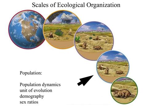 Ppt Ecology Is The Study Of The Distribution And Abundance Of
