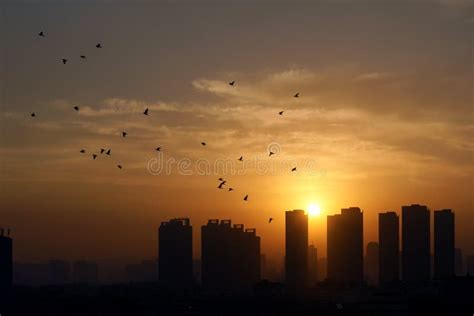 Urban Sunrise Stock Photo Image Of Urban Clouds Sunglow 42616032