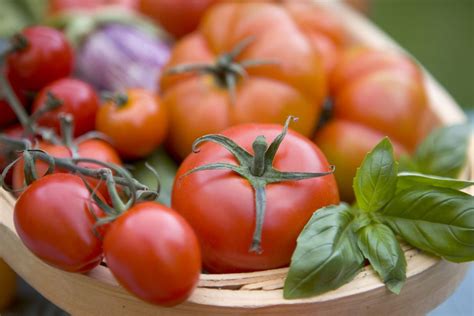 How To Sow Tomato Seeds Bbc Gardeners World Magazine