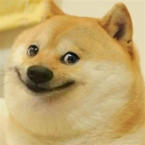 Someone Requested For This Doge Meme Template Here It Is His Name Is