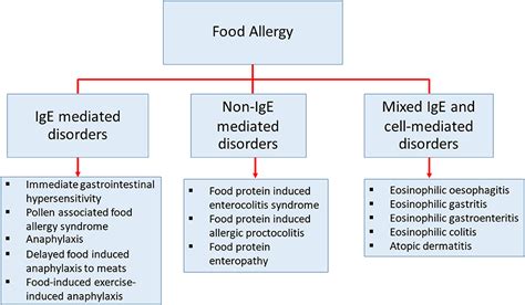 Frontiers Regulatory Immune Mechanisms In Tolerance To Food Allergy