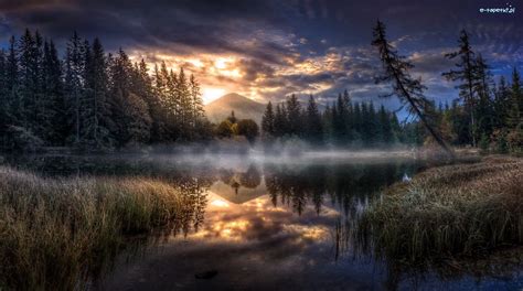 Drzewa Las Mgła Trawy Niebo Jezioro Góry Zachód Słońca Wieczór