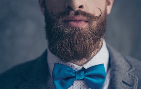 Grooming Tips For The Ungroomed